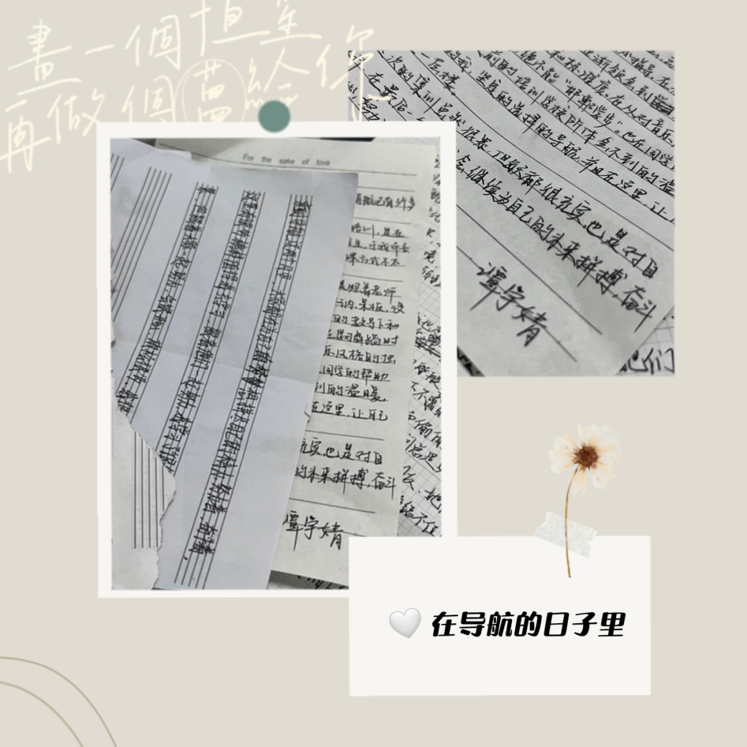 ӛ/ӛ11·ɼУ